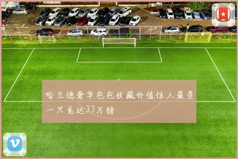 哈兰德奢华包包收藏价值惊人最贵一只竟达33万镑