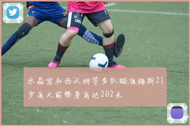 水晶宫和西汉姆等多队瞄准梅斯21岁高大前锋身高达202米