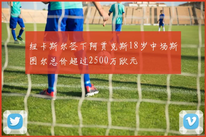 纽卡斯尔签下阿贾克斯18岁中场斯图尔总价超过2500万欧元