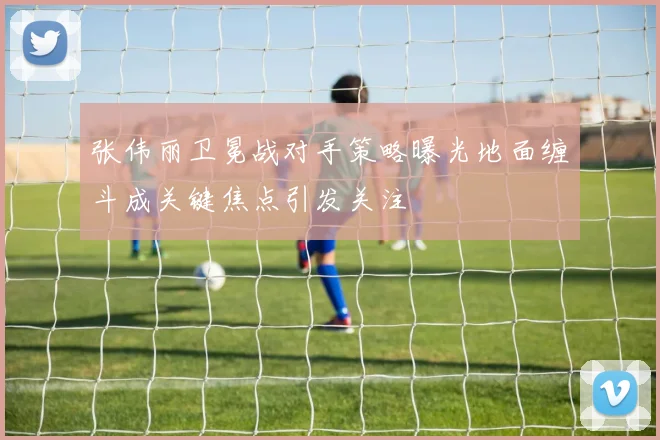 张伟丽卫冕战对手策略曝光地面缠斗成关键焦点引发关注